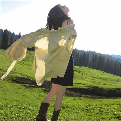 大黄蜂
